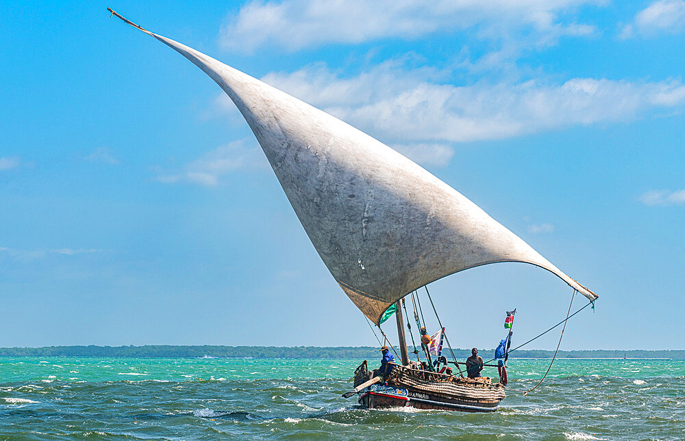 Traditional dhow sailing in the Indian Ocean, island of Lamu, Kenya, East Africa, Africa