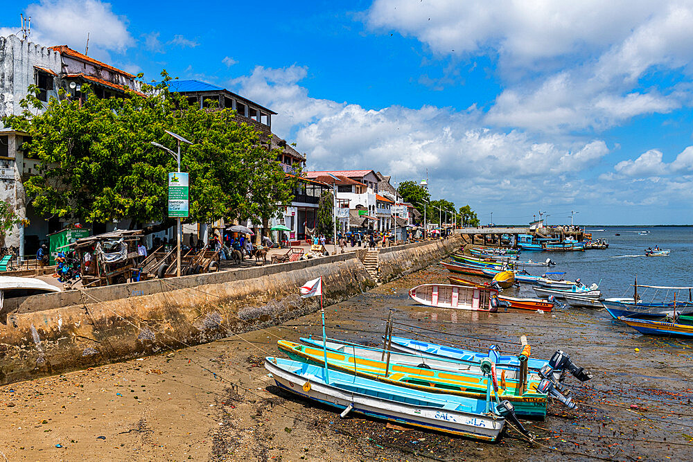 Lamu Town, UNESCO World Heritage Site, island of Lamu, Kenya, East Africa, Africa