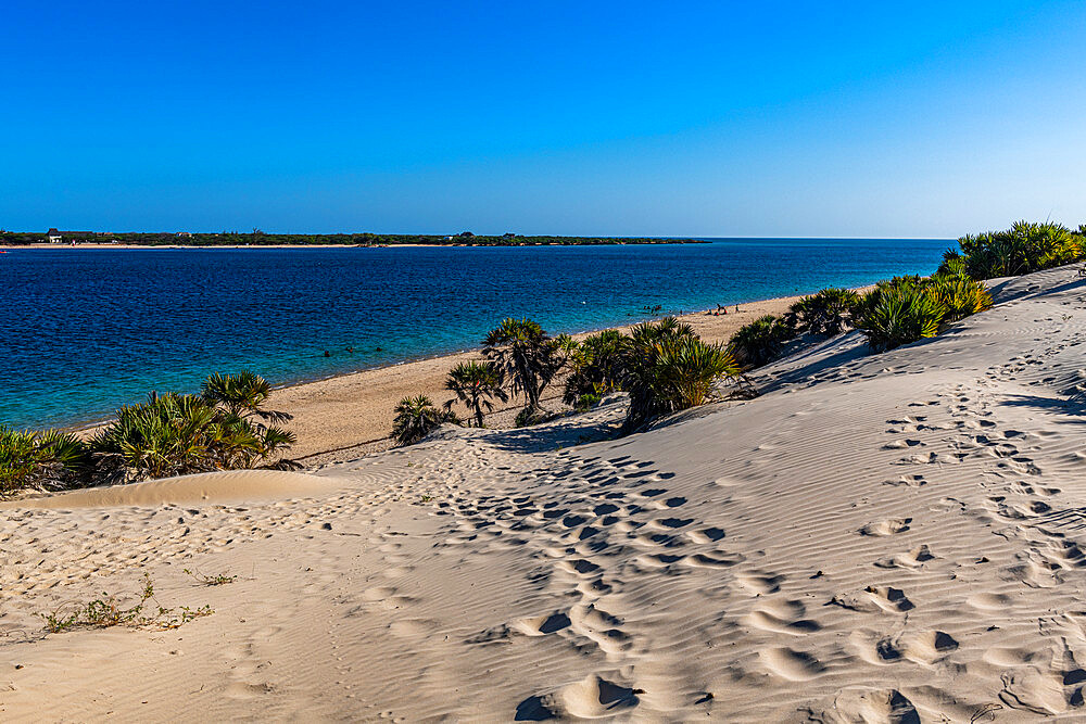 Shela beach, island of Lamu, Kenya, East Africa, Africa