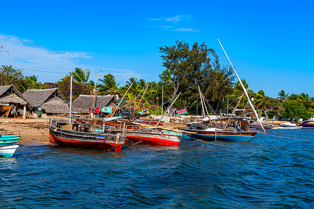 Dhows in the harbour of Shela, island of Lamu, Shela, Kenya, East Africa, Africa