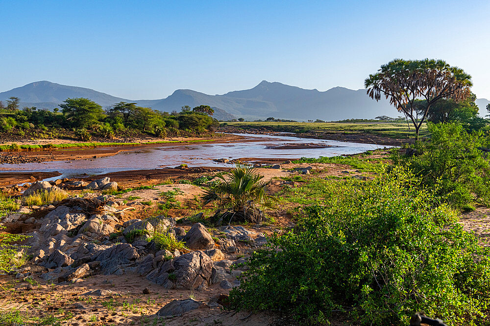 Ewaso Ng'iro river flowing between Buffalo Springs National Reserve and Samburu National Park, Kenya, East Africa, Africa