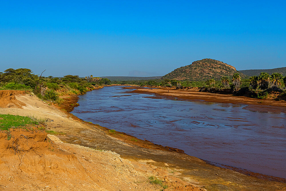 Ewaso Ng'iro river flowing through Shaba Game Reserve, Samburu National Park, Kenya, East Africa, Africa