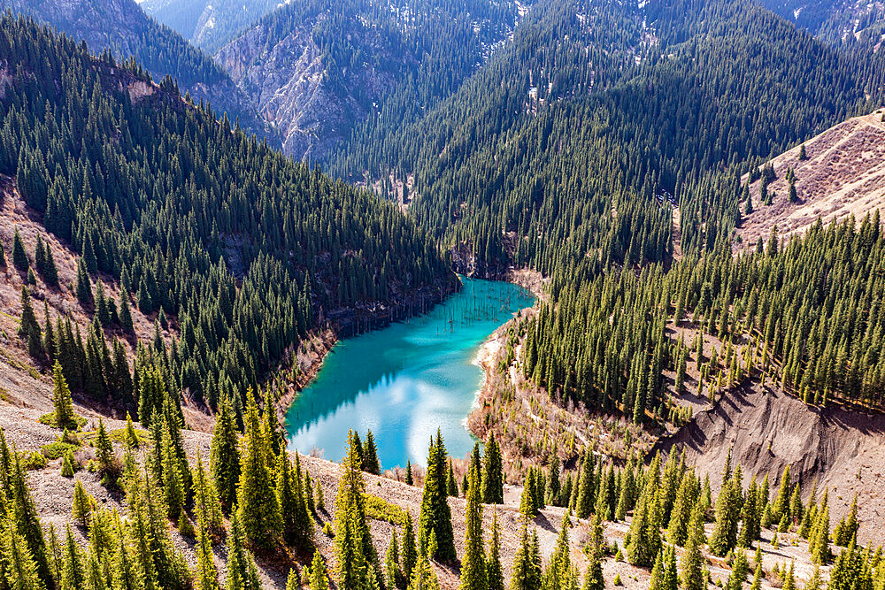 Aerial of the Kaindy Lake with its dead trees, Kolsay Lakes National Park, Tian Shan mountains, Kazakhstan, Central Asia, Asia