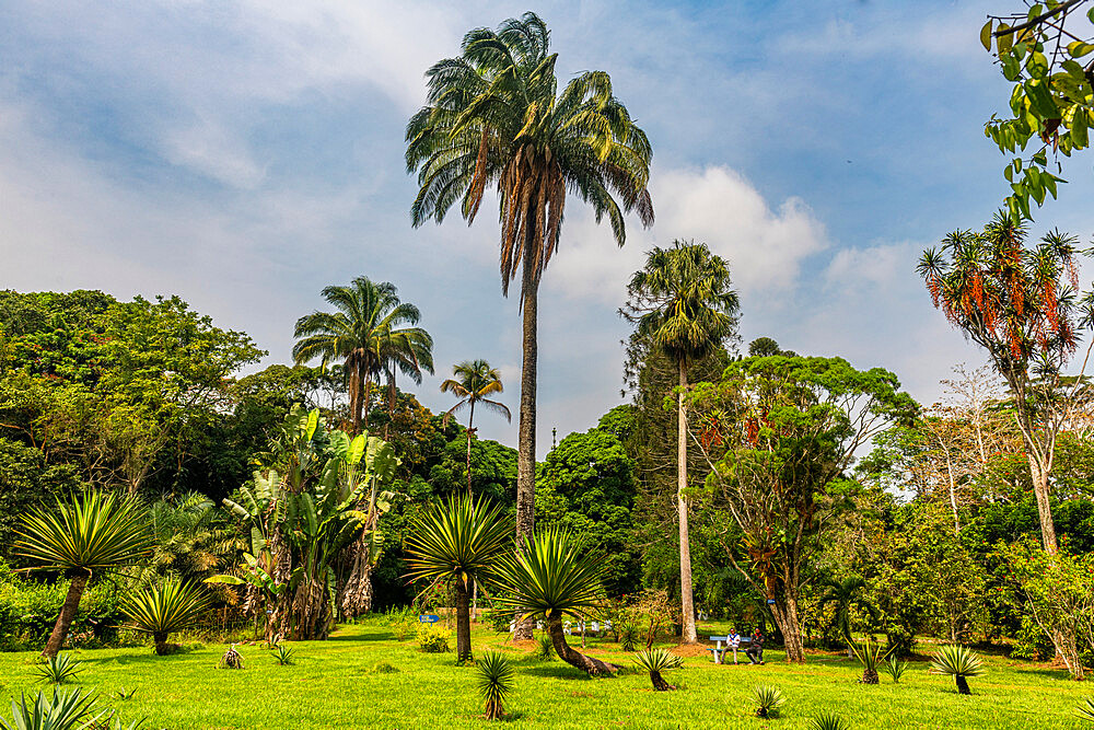 Kisantu botanical gardens, Kisantu, Democratic Republic of the Congo, Africa