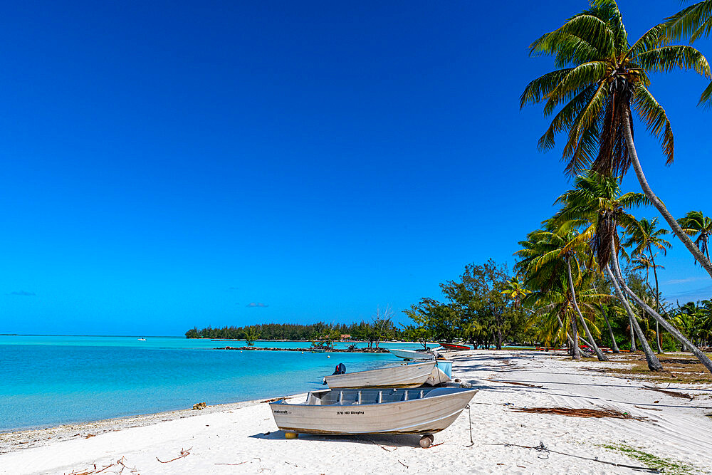 White sand beach, Anaa atoll, Tuamotu archipelago, French Polynesia, South Pacific, Pacific