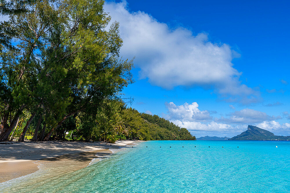 White sand beach, Aukena island, Gambier archipelago, French Polynesia, South Pacific, Pacific