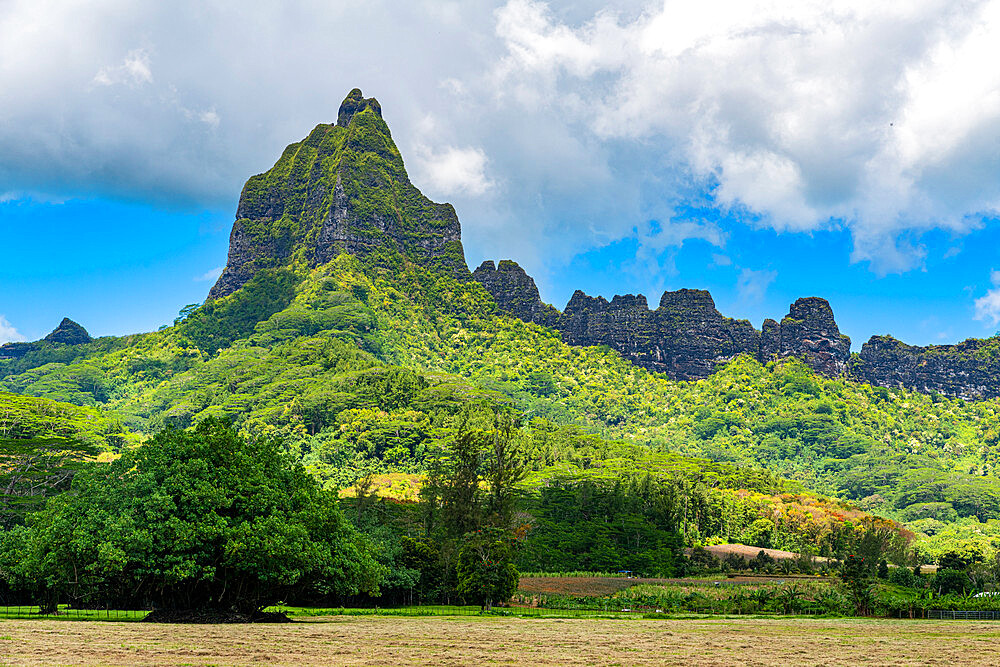 Rugged peak, Moorea (Mo'orea), Society Islands, French Polynesia, South Pacific, Pacific