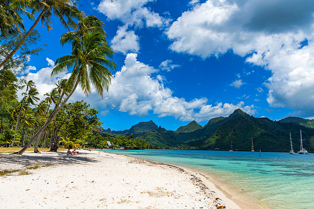 White sand Public Beach Ta'ahiamanu, Moorea (Mo'orea), Society Islands, French Polynesia, South Pacific, Pacific