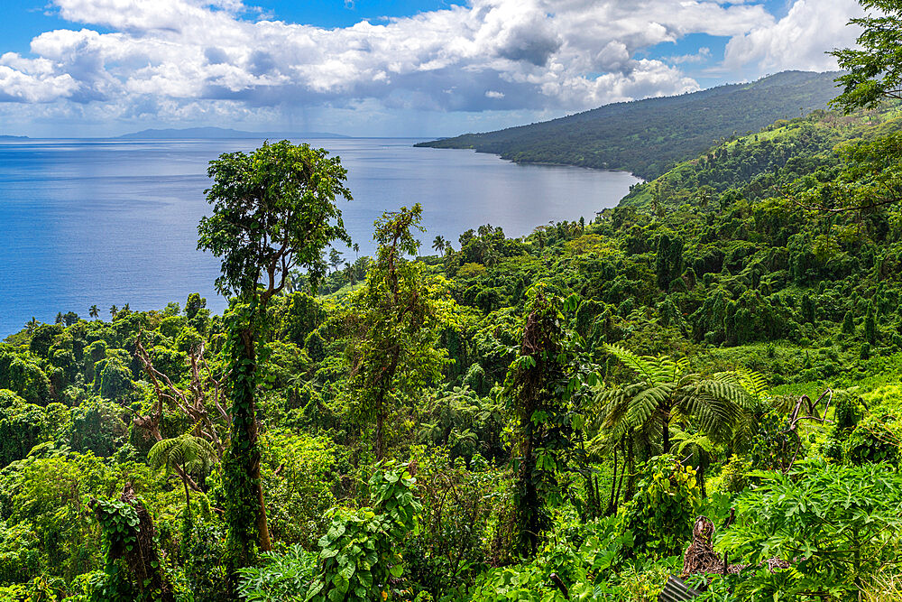 View over the coastline of Taveuni, Fiji, South Pacific, Pacific