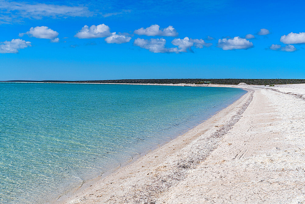 Shell Beach, Shark Bay, UNESCO World Heritage Site, Western Australia, Australia, Pacific