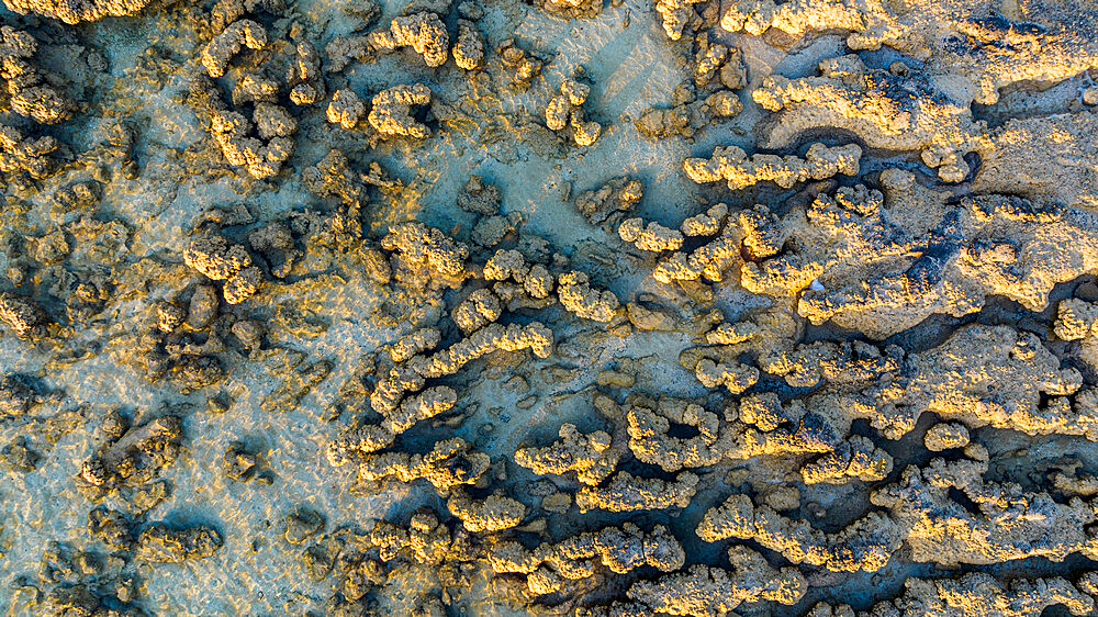 Aerial of the Hamelin Pool stromatolites, Shark Bay, UNESCO World Heritage Site, Western Australia, Australia, Pacific