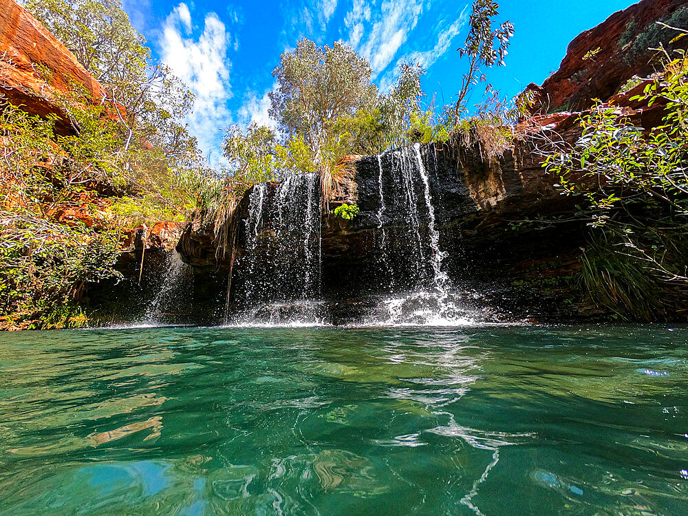 Fern Pool, Dale Gorge, Karijini National Park, Western Australia, Australia, Pacific