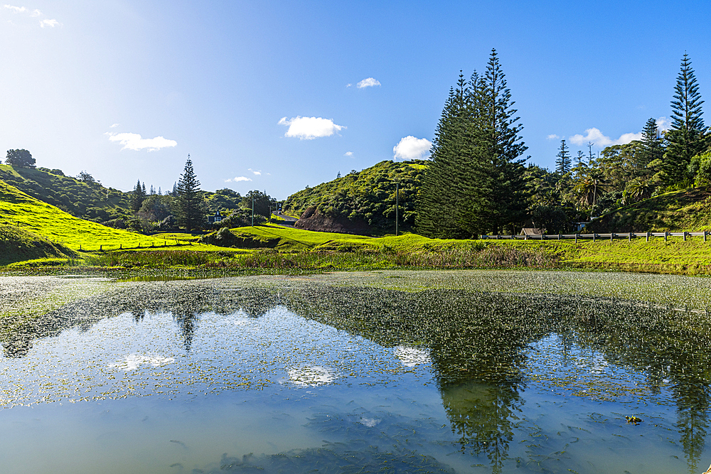 Little Pond in Arthurs Vale, UNESCO World Heritage Site, Norfolk Island, Australia, Pacific