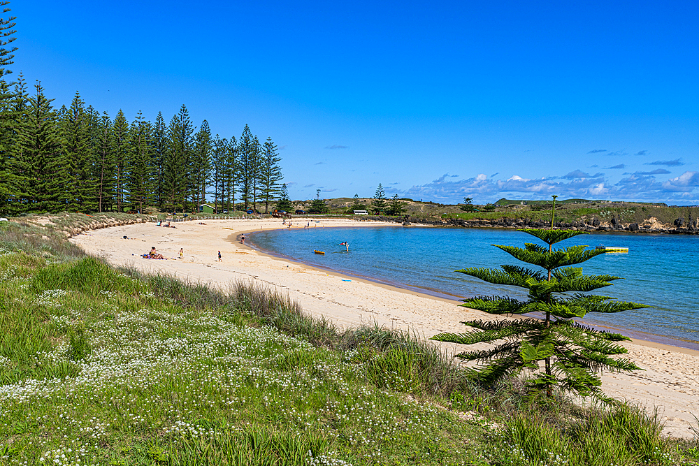 Sandy beach on Emily Bay, UNESCO World Heritage Site, Norfolk Island, Australia, Pacific