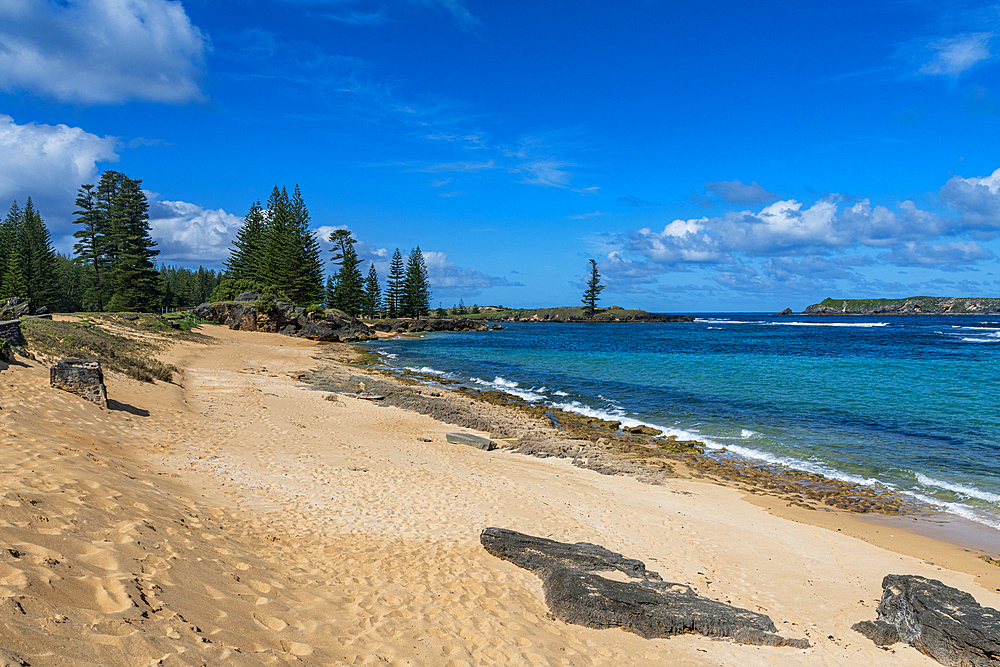 Sandy beach, on Slaughter Bay, UNESCO World Heritage Site, Norfolk Island, Australia, Pacific