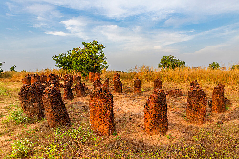 Unesco site Senegambian stone circles, Wassu, Gambia, Africa