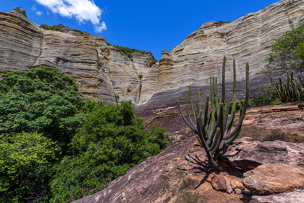 Sandstone cliffs at Pedra Furada, Serra da Capivara National Park, UNESCO World Heritage Site, Piaui, Brazil, South America