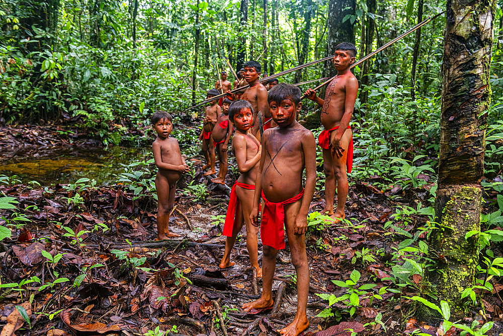 Yanomami tribe walking through the jungle, southern Venezuela, South America