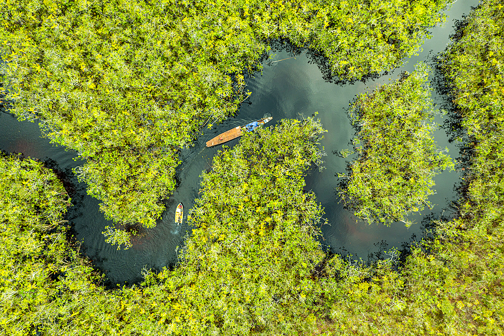 Aerial view of boat crossing through the deep jungle, Yanomami tribe, southern Venezuela, South America