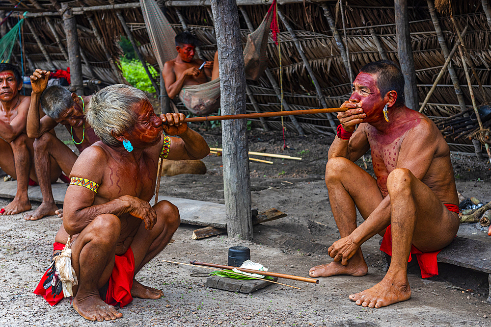 Shamans from the Yanomami tribe practising traditional healing methods, southern Venezuela, South America