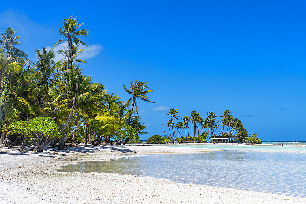 Palm fringed motu in the Blue Lagoon, Rangiroa atoll, Tuamotus, French Polynesia, South Pacific, Pacific