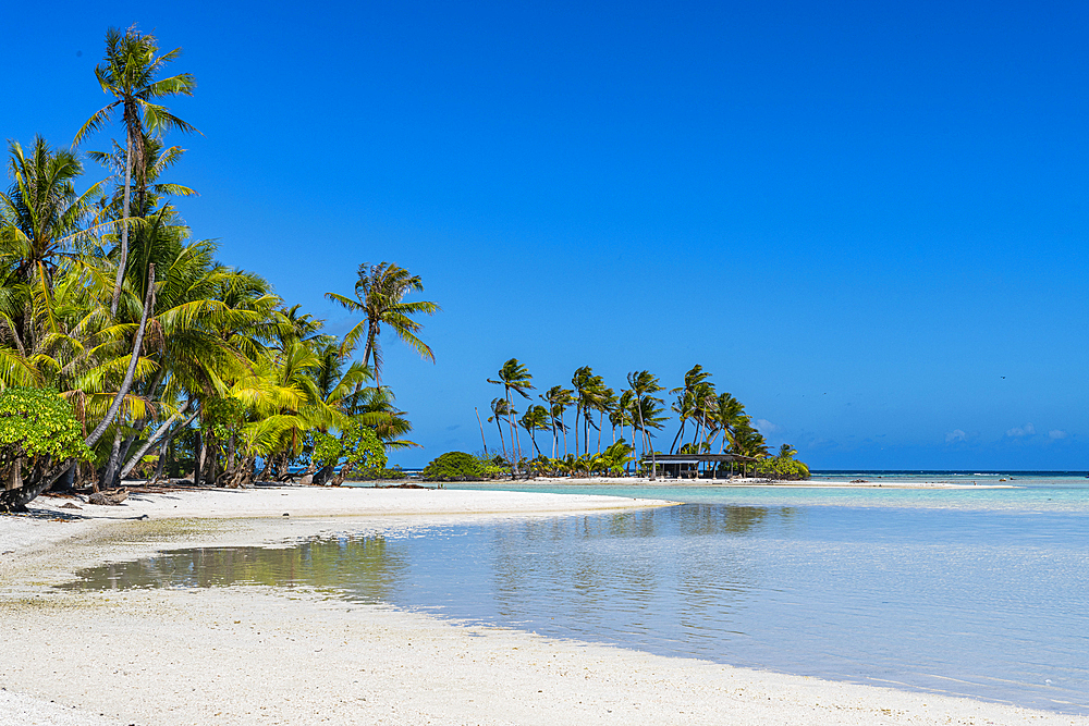 Palm fringed motu in the Blue Lagoon, Rangiroa atoll, Tuamotus, French Polynesia, South Pacific, Pacific