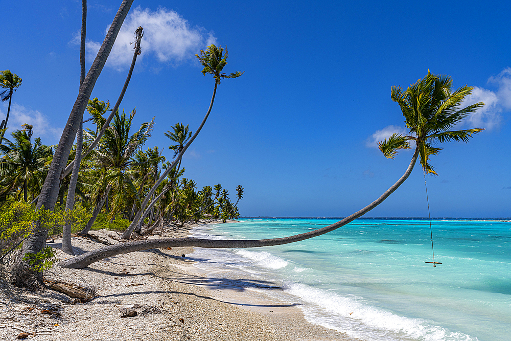 White sand PK-9 beach, Fakarava, Tuamotu archipelago, French Polynesia, South Pacific, Pacific