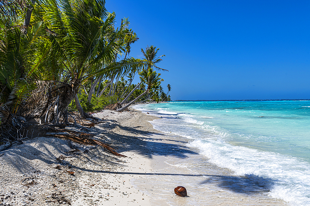 White sand PK-9 beach, Fakarava, Tuamotu archipelago, French Polynesia, South Pacific, Pacific