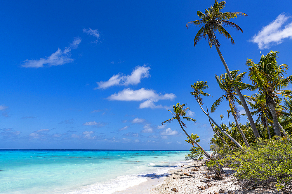 White sand PK-9 beach, Fakarava, Tuamotu archipelago, French Polynesia, South Pacific, Pacific