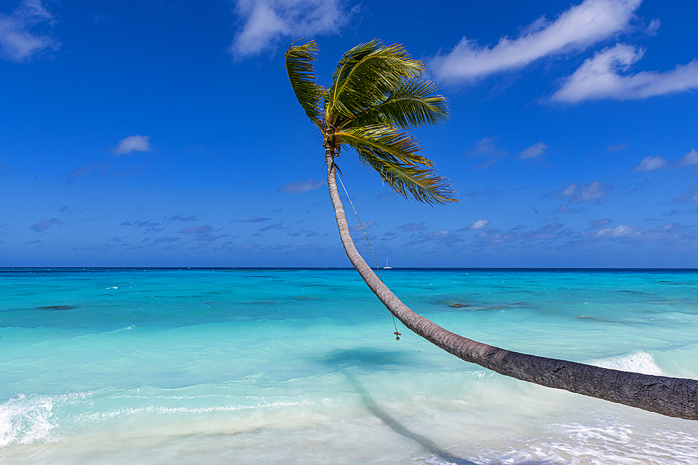 White sand PK-9 beach, Fakarava, Tuamotu archipelago, French Polynesia, South Pacific, Pacific