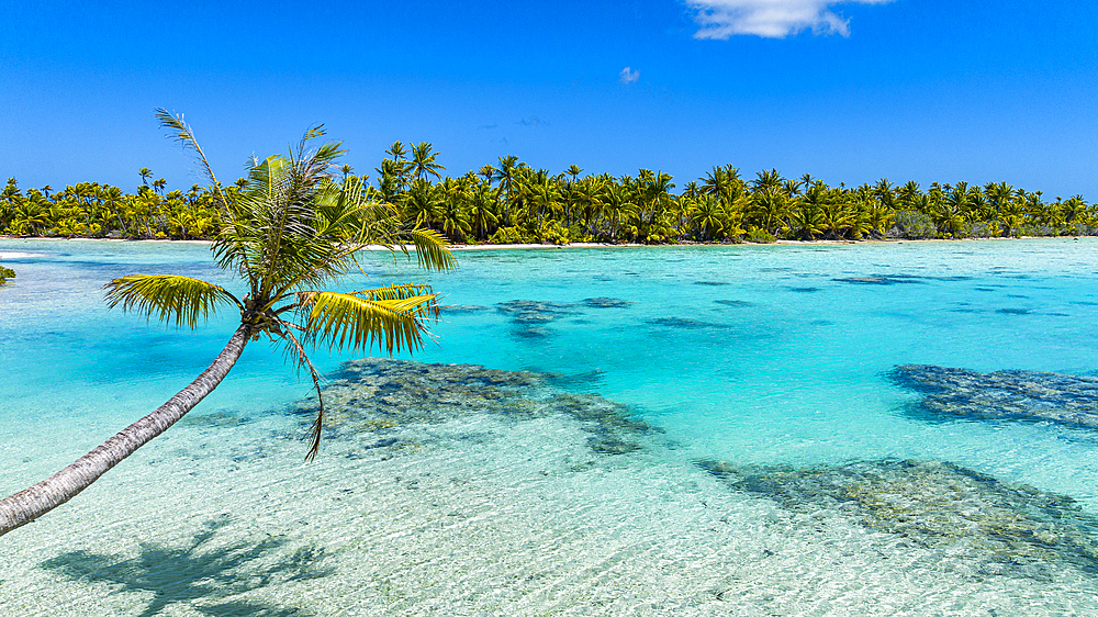 Aerial of the blue lagoon, Fakarava, Tuamotu archipelago, French Polynesia, South Pacific, Pacific