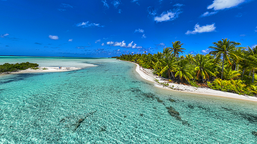 Palm trees at the blue lagoon, Fakarava, Tuamotu archipelago, French Polynesia, South Pacific, Pacific