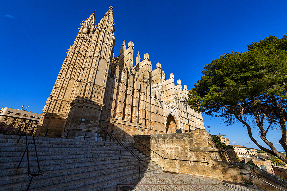 Cathedral of Palma, Mallorca, Balearic Islands, Spain, Mediterranean, Europe