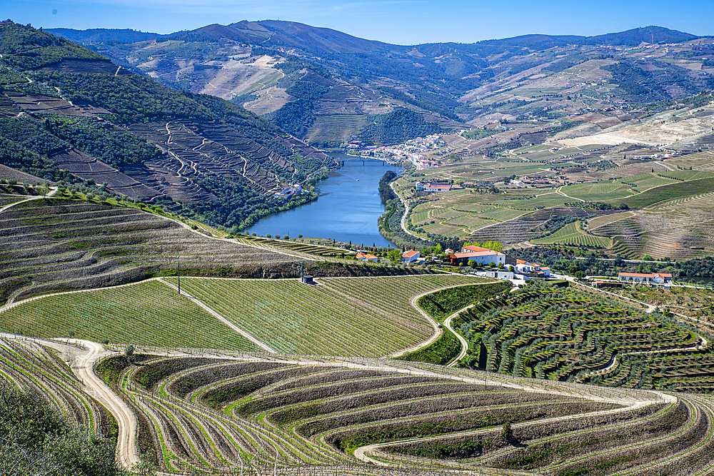 View over the Wine Region of the Douro River, UNESCO World Heritage Site, Portugal, Europe