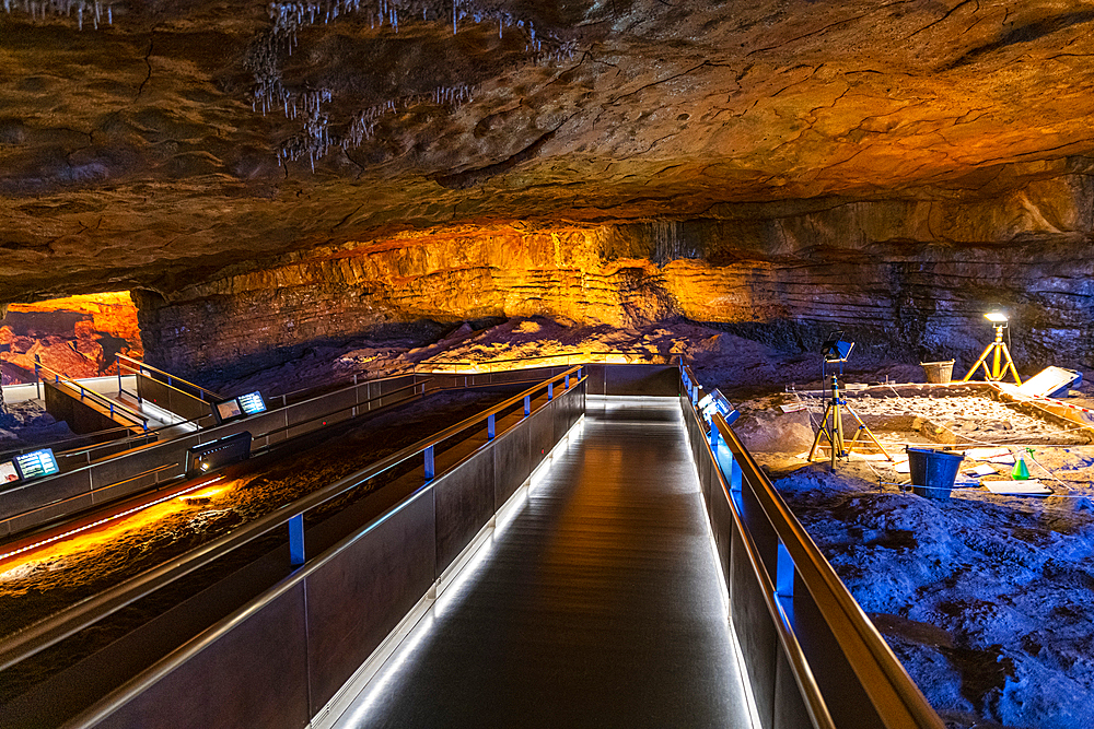 Altamira Cave, UNESCO World Heritage Site, Cantabria, Spain, Europe