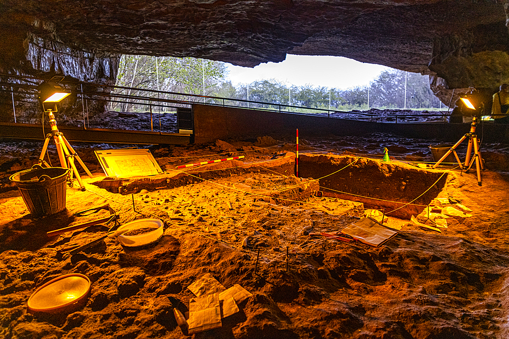 Altamira Cave, UNESCO World Heritage Site, Cantabria, Spain, Europe