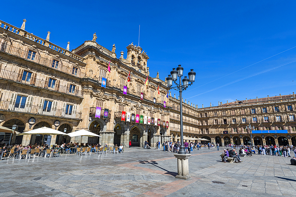 Plaza Mayor, Salamanca, UNESCO World Heritage Site, Castile and Leon, Spain, Europe