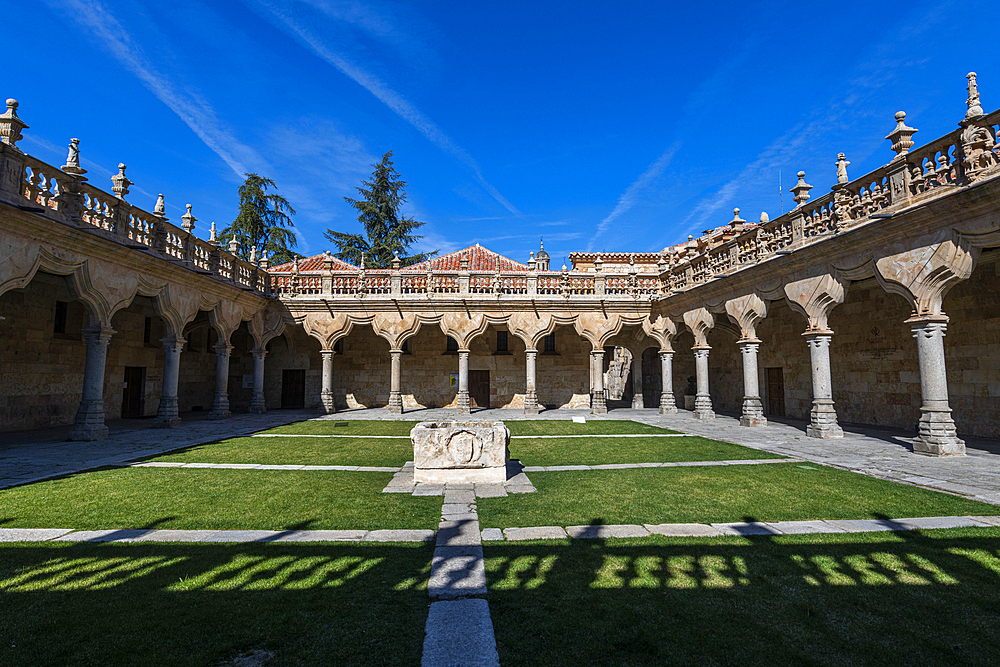 Escuelas Menores, Salamanca, UNESCO World Heritage Site, Castile and Leon, Spain, Europe