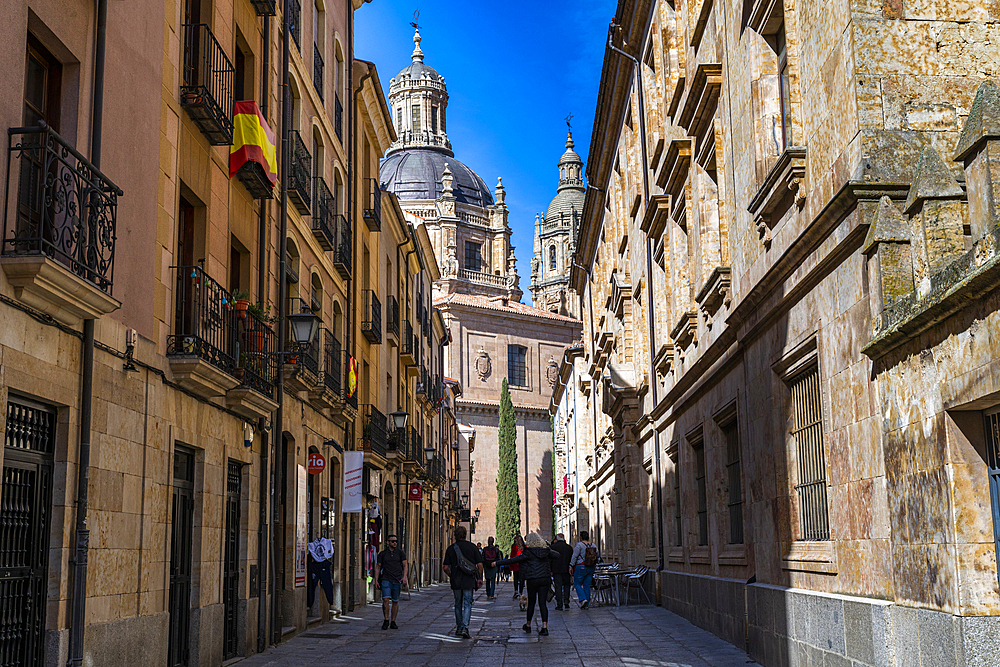 Old town, Salamanca, UNESCO World Heritage Site, Castile and Leon, Spain, Europe