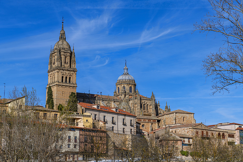 Town view from the Roman bridge, Salamanca, UNESCO World Heritage Site, Castile and Leon, Spain, Europe