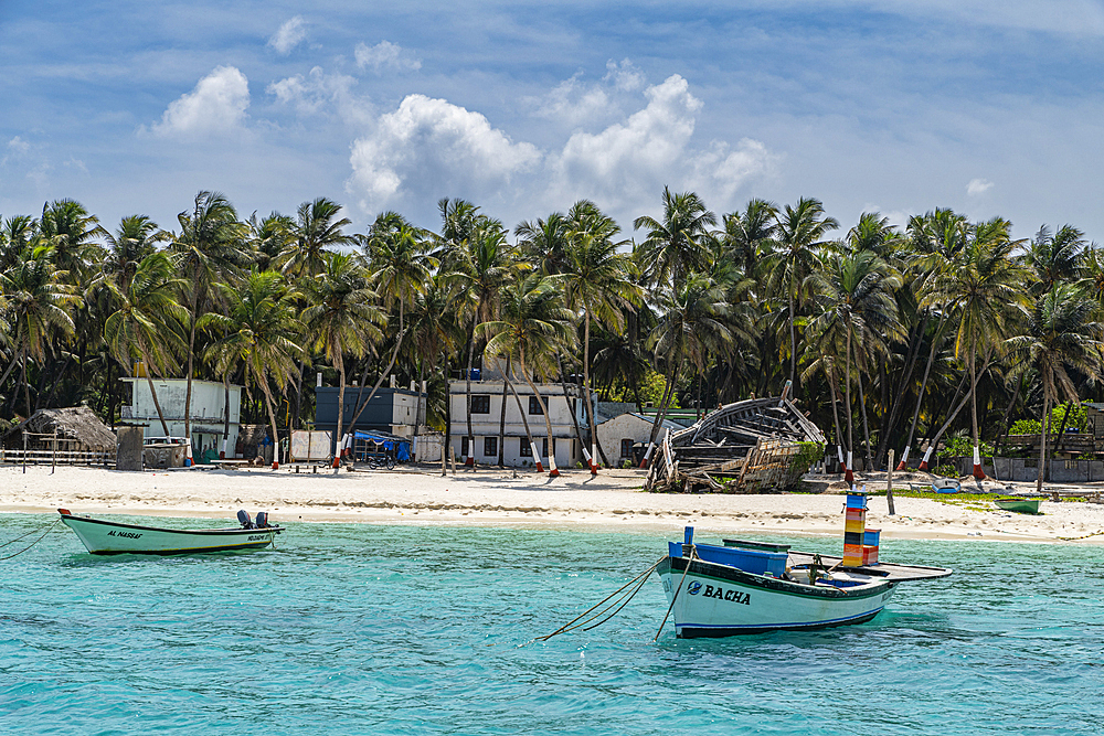 Little boats before a palm fringed white sand beach, Agatti Island, Lakshadweep archipelago, Union territory of India, Indian Ocean, Asia