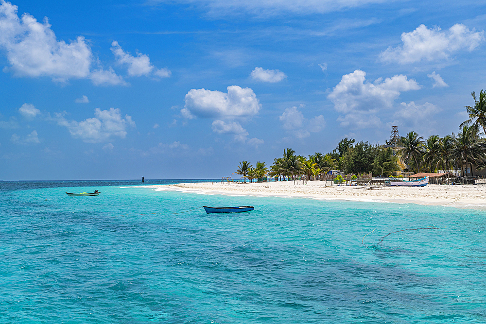 Palm fringed white sand beach, Agatti Island, Lakshadweep archipelago, Union territory of India, Indian Ocean, Asia