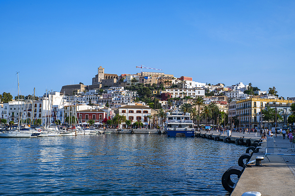 The old town of Ibiza with its castle seen from the harbor, UNESCO World Heritage Site, Ibiza, Balearic Islands, Spain, Mediterranean, Europe