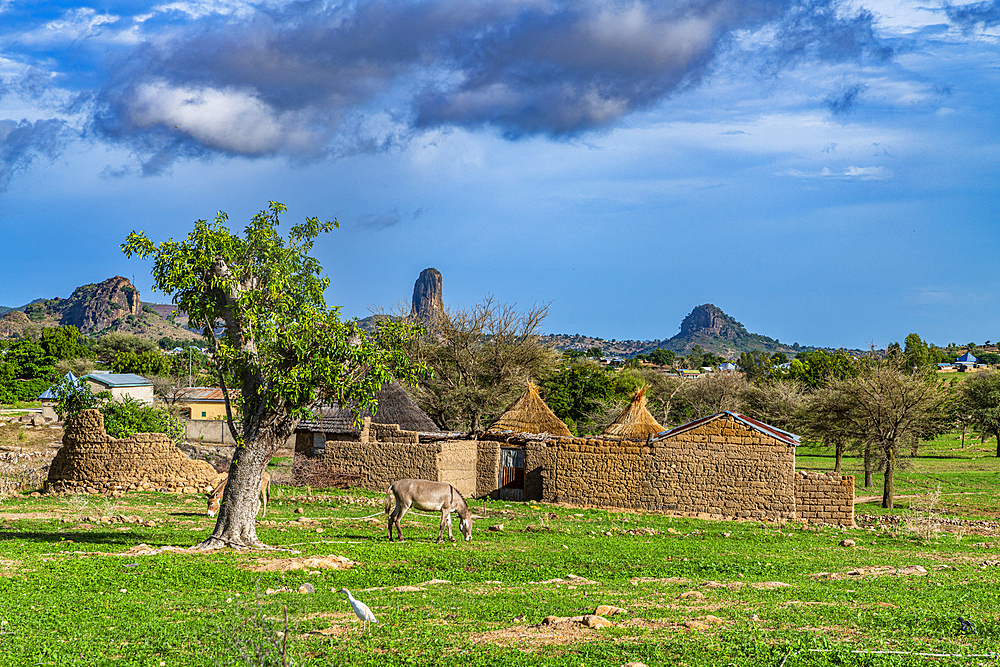 Compound walls in lunar landscape, Rhumsiki, Mandara mountains, Far North province, Cameroon, Africa