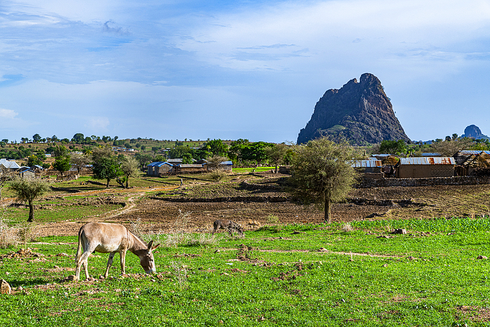 Village and lunar landscape, Rhumsiki, Mandara mountains, Far North province, Cameroon, Africa