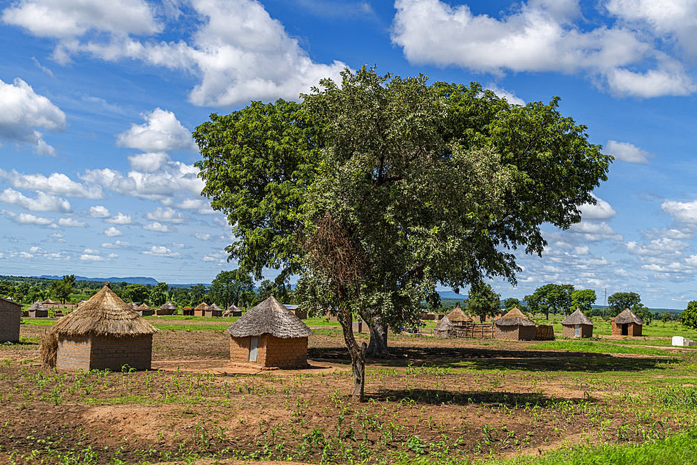 Traditional mud huts, Northern Cameroon, Africa