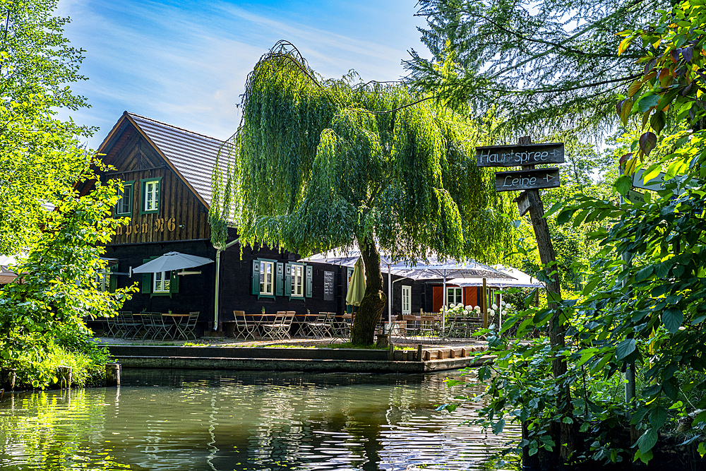 Beergarden, UNESCO Biosphere Reserve, Spree Forest, Brandenburg, Germany, Europe