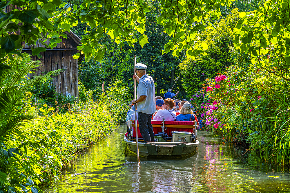 Tourists on a punt trip, UNESCO Biosphere Reserve, Spree Forest, Brandenburg, Germany, Europe