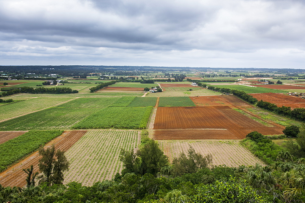 Agricultural fields, Minami Daito, Daito Islands, Japan, Asia