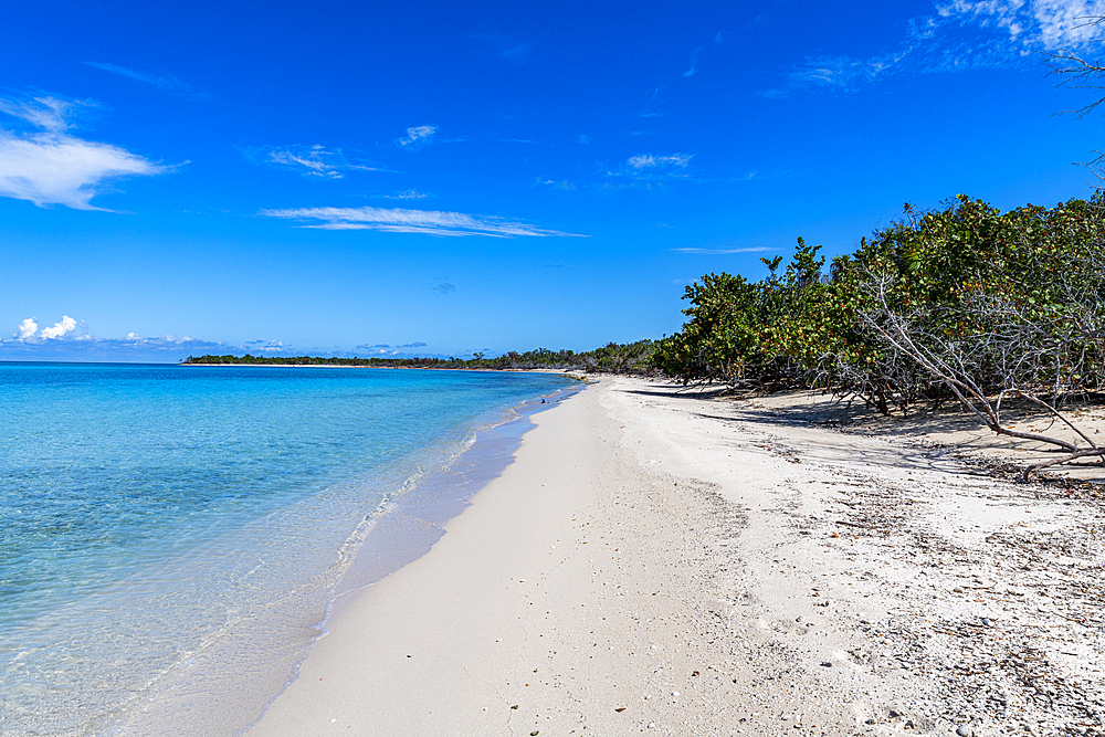 White sand beach in the Parque Nacional Marino de Punta Frances Punta Pedernales, Isla de la Juventud (Isle of Youth), Cuba, West Indies, Central America